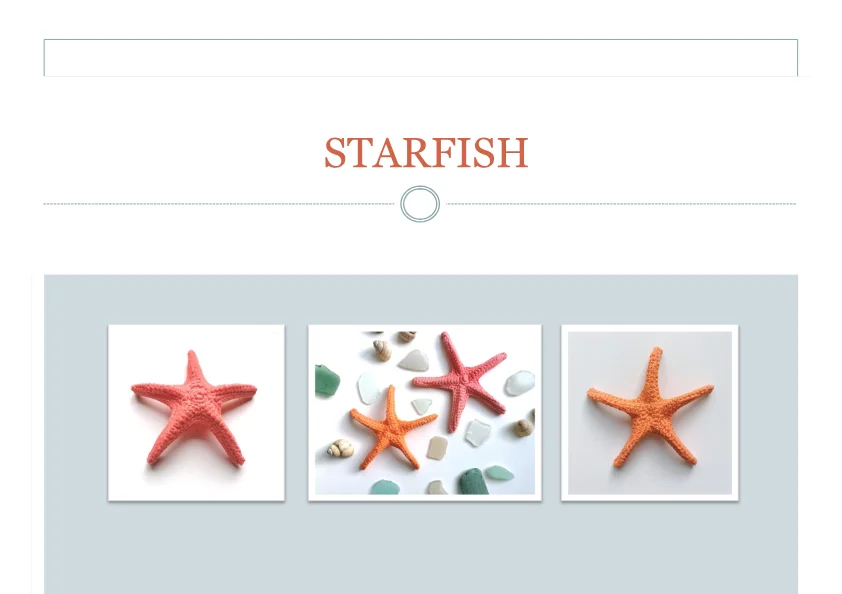 Star Fish Crochet Pattern