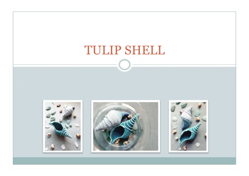 Tulip Shell Crochet Pattern